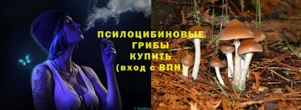 меф Каменногорск