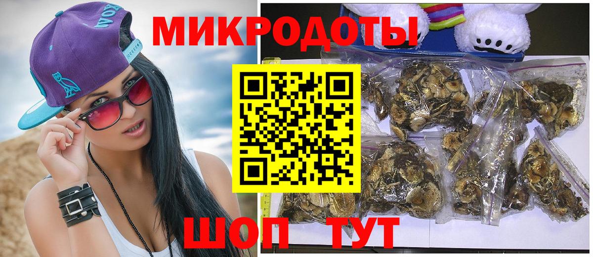 Псилоцибиновые грибы Psilocybine cubensis Карачаевск